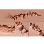Реалистичный мастурбатор полуторс с вагиной и анусом Naked Factory Scarlet - телесный Реалистичный мастурбатор полуторс с вагиной и анусом Naked Factory Scarlet - телесный
