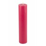 Свеча низкотемпературная для Wax Play - Bondage To Blaze с ароматом сливы и сакуры - 13 см Свеча низкотемпературная для Wax Play - Bondage To Blaze с ароматом сливы и сакуры - 13 см