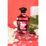Съедобное разогревающее массажное масло Shunga Raspberry Feeling - Малина - 100 мл Съедобное разогревающее массажное масло Shunga Raspberry Feeling - Малина - 100 мл