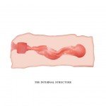 Мастурбатор вагина Crazy Bull Jane c анатомическим строением - телесный - 13 см