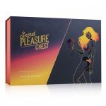 Набор для БДСМ-игр Secret Pleasure Chest Wicked Wildcat - 9 предметов - леопардовый