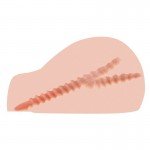 Мастурбатор полуторс: вагина и анус KOKOS Juliana+ с вибрацией, ротацией и голосом