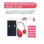 Виброяйцо Magic Motion - Sundae c возможностью управления со смартфона - красное Виброяйцо Magic Motion - Sundae c возможностью управления со смартфона - красное