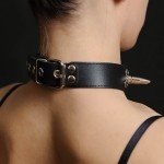 Кожаный ошейник с шипами, велюровой подкладой поводком-цепочкой Sitabella - чёрный Кожаный ошейник с шипами, велюровой подкладой поводком-цепочкой Sitabella - чёрный