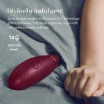 Бесконтактный вакуумный клиторальный стимулятор Womanizer Premium 2 с функцией автопилота и началом работы от соприкосновения - бордовый Бесконтактный вакуумный клиторальный стимулятор Womanizer Premium 2 с функцией автопилота и началом работы от соприкосновения - бордовый